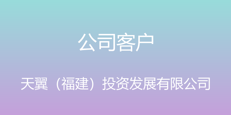 公司客户 - 天翼（福建）投资发展有限公司